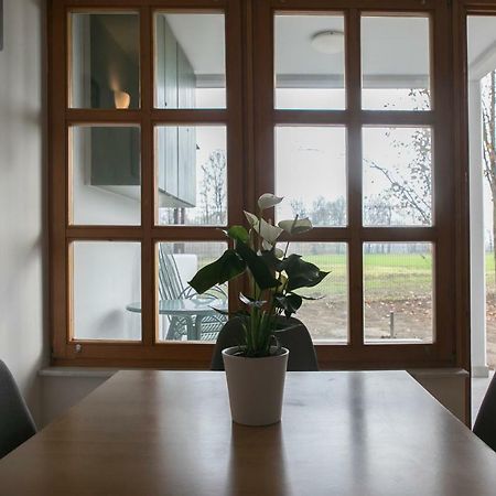 Apartma Spelca Бановци Экстерьер фото